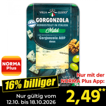 Italienischer Gorgonzola